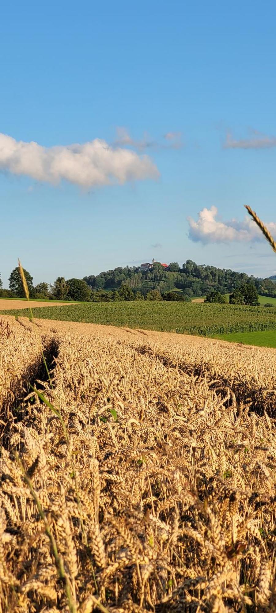 Ferienwohnung Bayerwaldblick Jandelsbrunn Zewnętrze zdjęcie