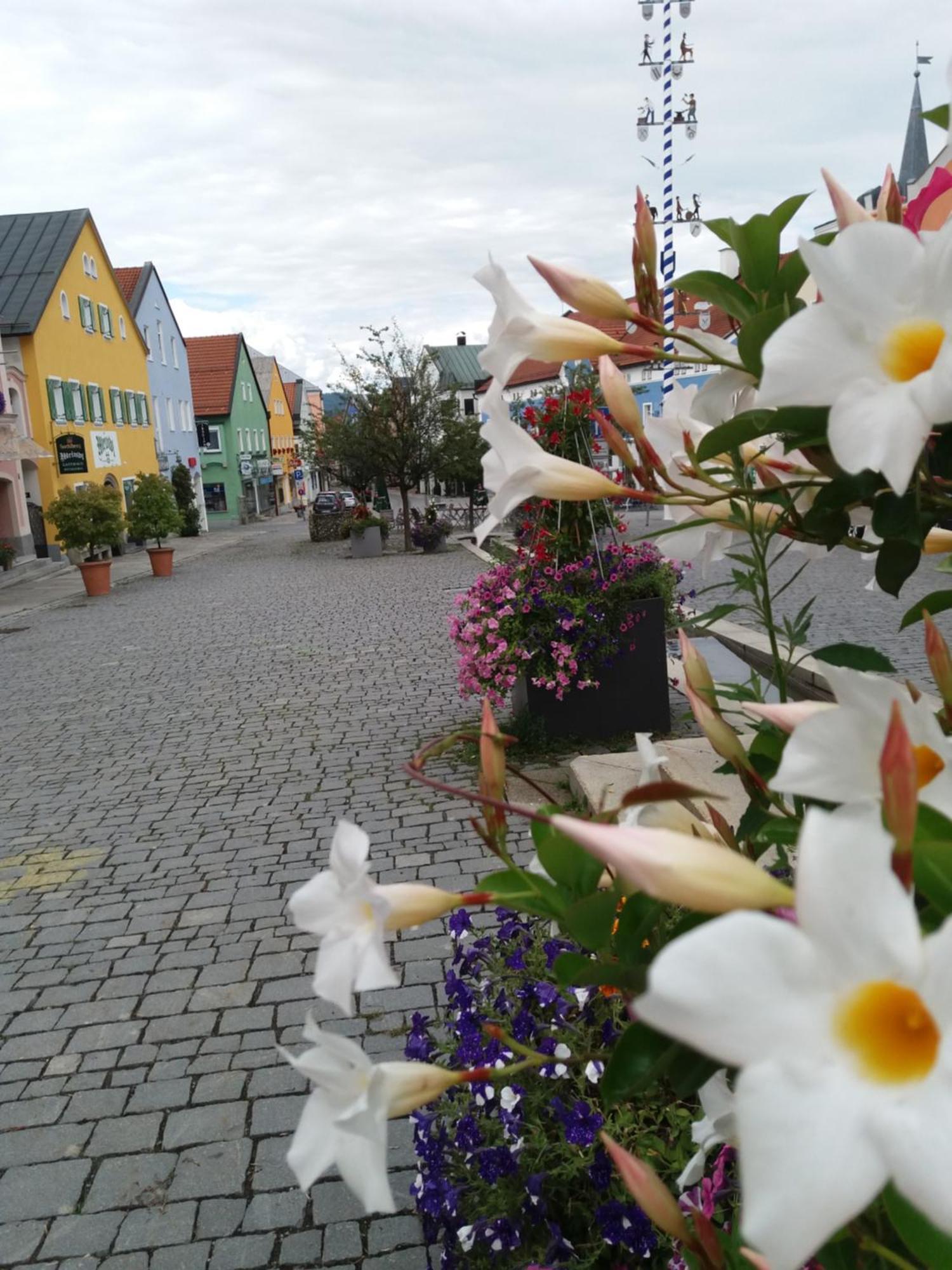 Ferienwohnung Bayerwaldblick Jandelsbrunn Zewnętrze zdjęcie