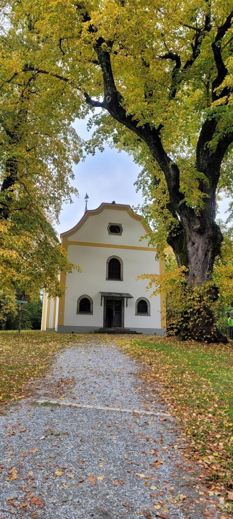 Ferienwohnung Bayerwaldblick Jandelsbrunn Zewnętrze zdjęcie