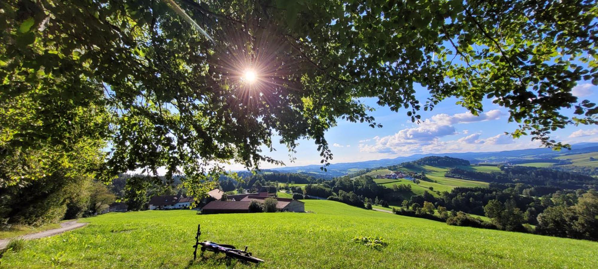 Ferienwohnung Bayerwaldblick Jandelsbrunn Zewnętrze zdjęcie
