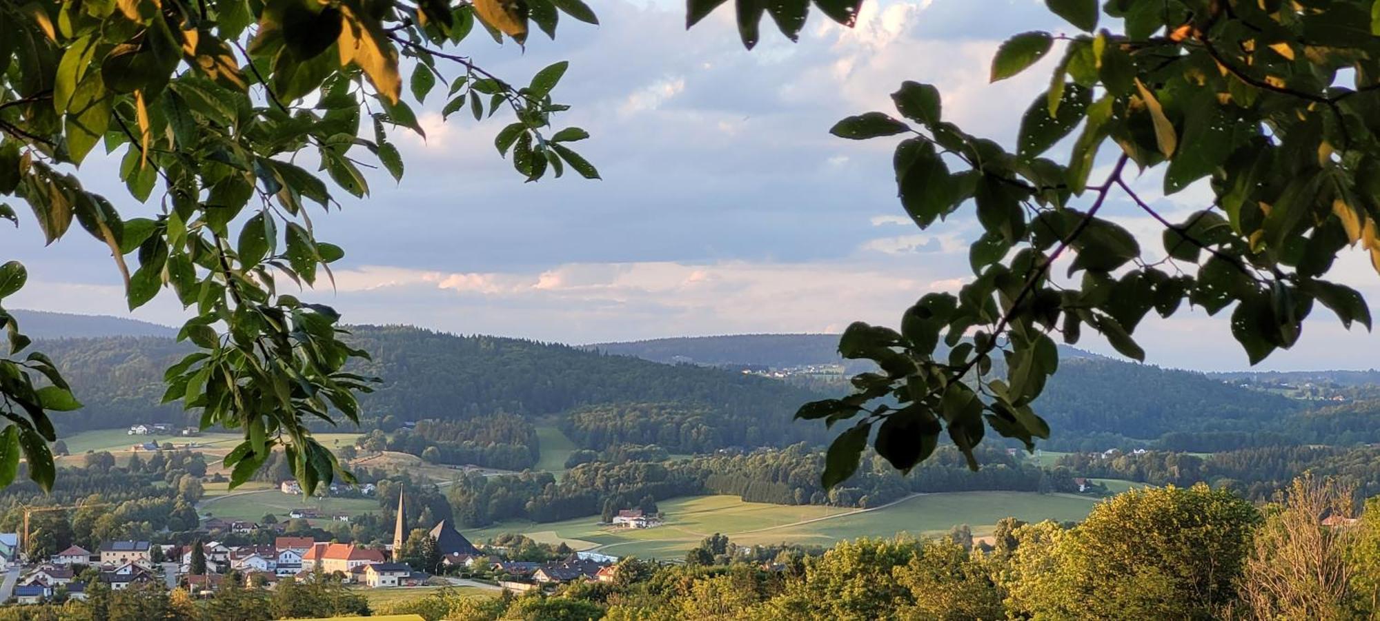 Ferienwohnung Bayerwaldblick Jandelsbrunn Zewnętrze zdjęcie