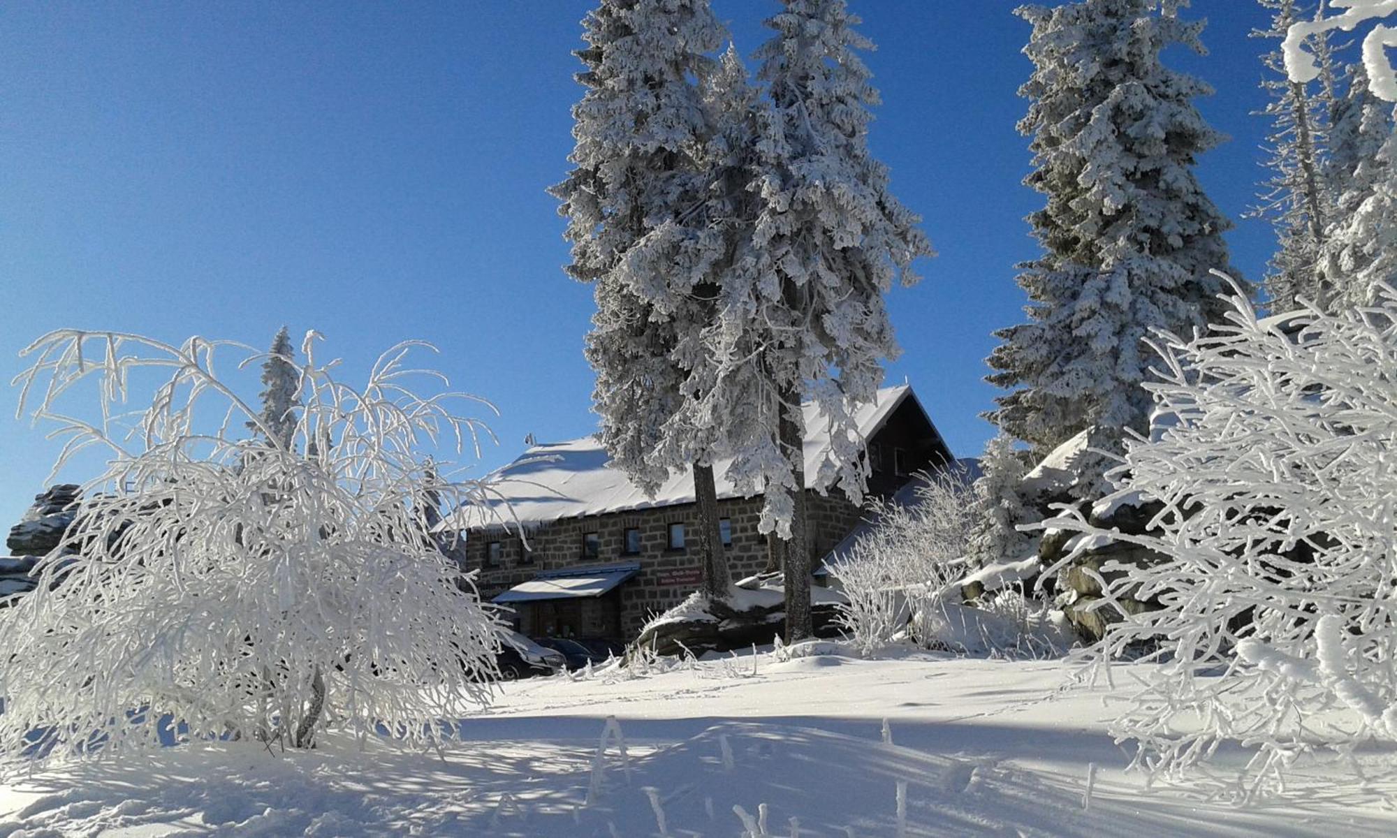 Ferienwohnung Bayerwaldblick Jandelsbrunn Zewnętrze zdjęcie