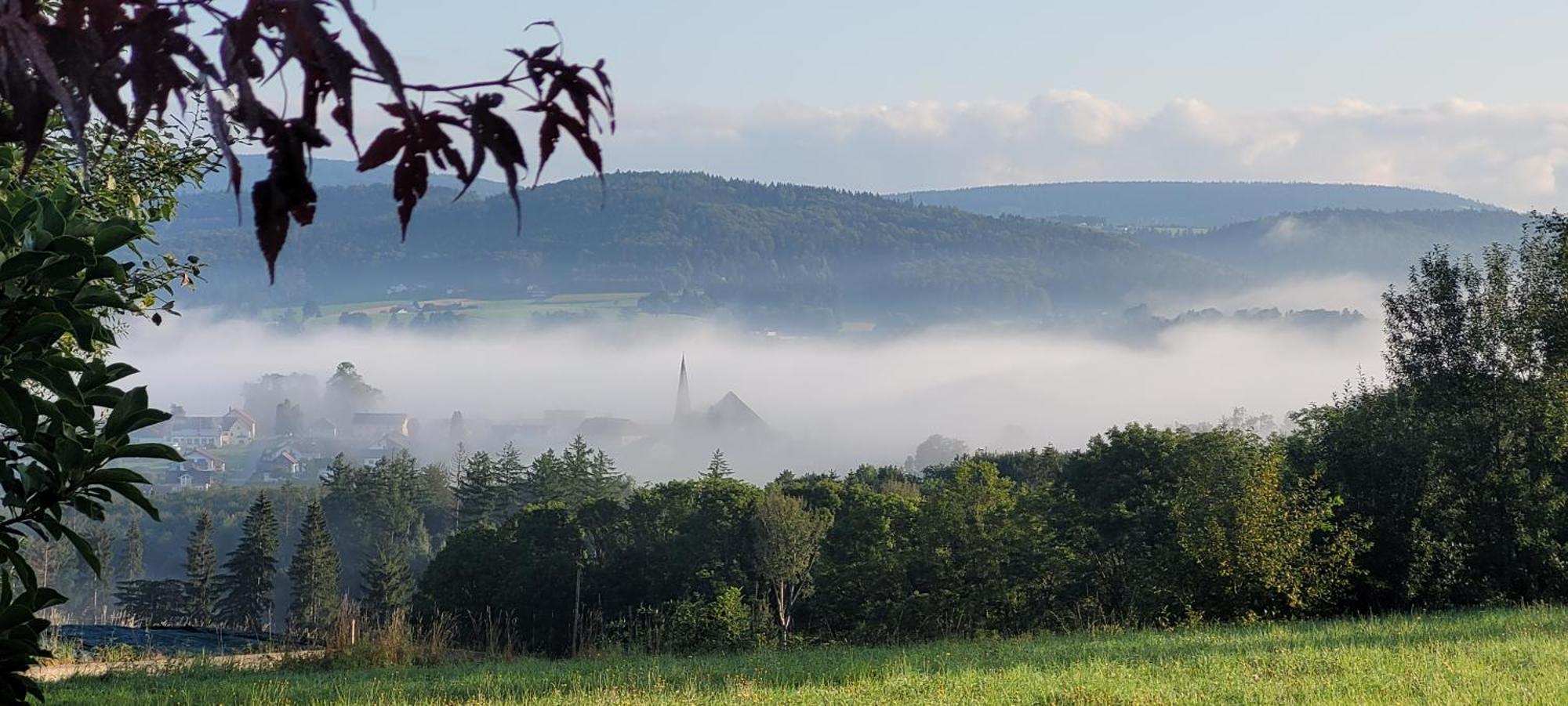 Ferienwohnung Bayerwaldblick Jandelsbrunn Zewnętrze zdjęcie